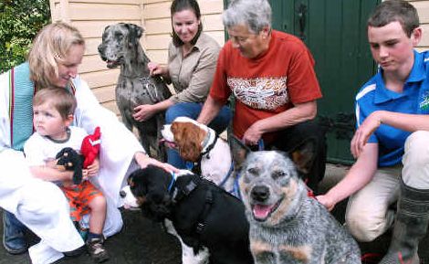 Pet prayers: Reverend Nicole Hagon and her small son William meet Upper Orara residents Megan Lees and her great dane Asha, Val O’Doherty and her spaniels Banjo and Clancy and Ryan Hoschke and his cattle dog Sonny. Pet prayers: Reverend Nicole Hagon and her small son William meet Upper Orara residents Megan Lees and her great dane Asha, Val O’Doherty and her spaniels Banjo and Clancy and Ryan Hoschke and his cattle dog Sonny.